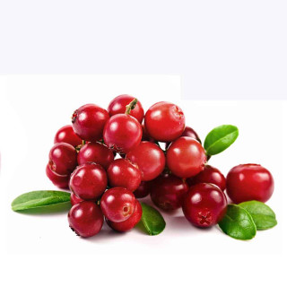 Cranberries leaves white background cranberry - incoherent free wallpaper for tablet