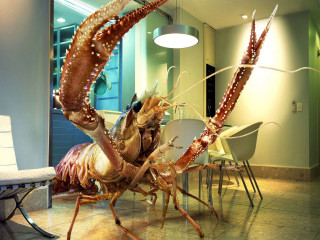 Large lobster standing table room 2 - hyper real free wallpaper