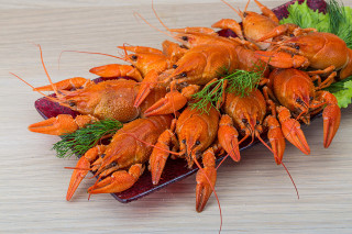 Cooked lobsters lettuce sauce food - a pile free wallpaper for desktop