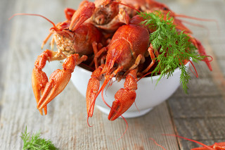 Cooked lobsters parsley bowl side - a bowl free wallpaper