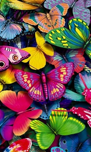 Colorful butterflies flying together in - the air together free wallpaper for mobile