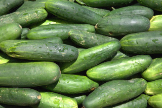 Cucumbers pile tabletop waterdroplets green - a table top free wallpaper
