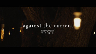 Tree lightbulb hanging trunk against - a light bulb free wallpaper for desktop