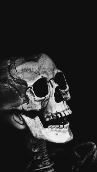 Skeleton black background white background - a skeleton free wallpaper for mobile