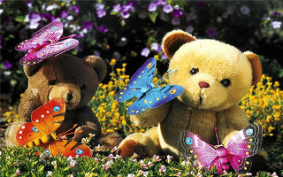 Teddy bears field flowers butterflies - two teddy free wallpaper