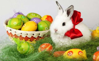 White bunny basket eggs green 2 - a green grass free wallpaper