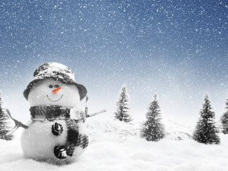 Snowman snow trees blue sky - a snowman free wallpaper