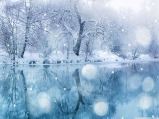 Snowy lake trees snowflakes water 4 - tree and snow free wallpaper
