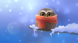 Small owl scarf branch snow - a small owl free wallpaper