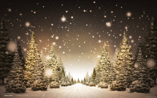 Snowy scene trees snow falling 9 - a snowy scene free wallpaper