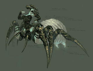 Spider human body arms legs - leg free wallpaper for desktop