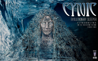 Woman long hair face water - a poster of a woman free wallpaper