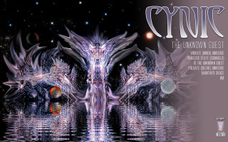 Birds water sky stars digital - two bird free wallpaper