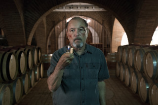 Man wine cellar holding bottle - a bottle of wine free wallpaper