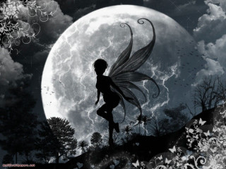 Fairy fullmoon girl night starry - a fairy free wallpaper