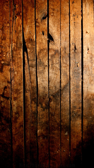 Wooden wall bird shadow above - fine texture free wallpaper for mobile
