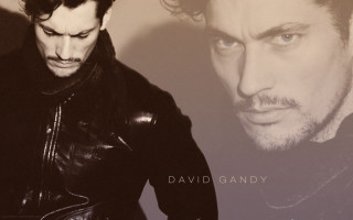 Man leather jacket poster beard - beautiful bone structure free wallpaper