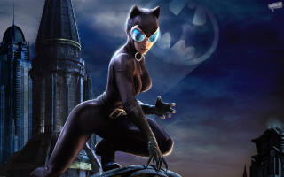 Woman cat suit castle pose - a woman in a cat suit free wallpaper