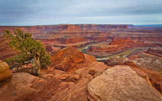 Tree rock canyon river cloudy - free landscape wallpaper