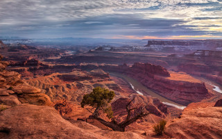River canyon cloudy sky tree - a tree in the foreground free wallpaper
