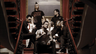 Men staircase dog black shirt - art brut free wallpaper for desktop