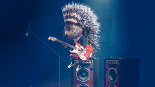 Hedgehog guitar stage microphone speaker - a stage free wallpaper