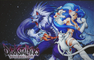 Woman cats sky stars painting - two cat free wallpaper for desktop