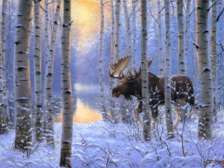 Moose snowy forest trees water - tree and water free wallpaper