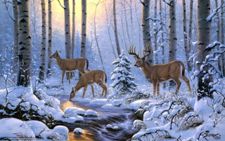 Deer snowy forest stream sunset - brothers hildebrandt free wallpaper