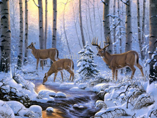 Deer snowy forest stream sunset 2 - brothers hildebrandt free wallpaper