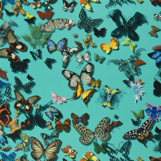 Butterflies blue background white border - walton ford free wallpaper