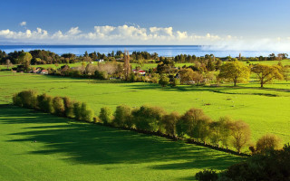 Lush green field trees water - lush free wallpaper for desktop