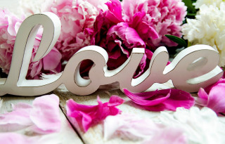 Love flowers petals table closeup - love free wallpaper