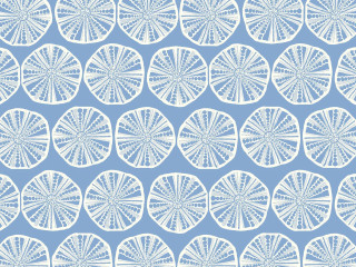 Blue white pattern circles design - a screenprint free wallpaper for desktop