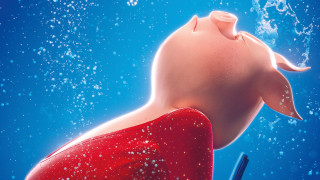 Cartoon pig pen water neck - free textures wallpaper for desktop