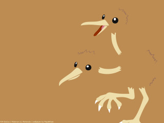 Bird two eyes long beak - a long beak free wallpaper