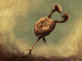 Long necked bird standing outdoors - its leg free wallpaper