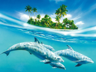 Dolphins swimming ocean island palm 4 - palm tree and a boat free wallpaper