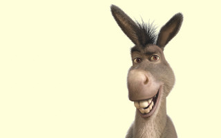Donkey funny smile furry portrait - its face free wallpaper