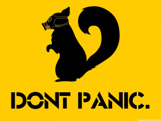 Black squirrel helmet dont panic - verdadism free wallpaper