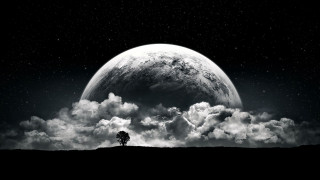 Black white tree clouds full - moon free wallpaper for desktop