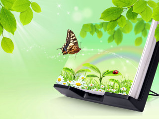 Butterfly flying green field flowers - over a green field free wallpaper
