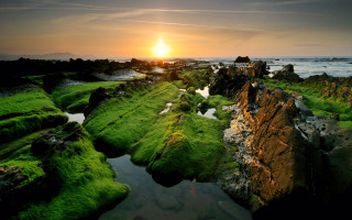 Sunset rocky beach green algae 5 - green alga free wallpaper