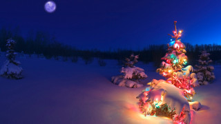 Christmas tree snow night full 7 - a christmas tree free wallpaper