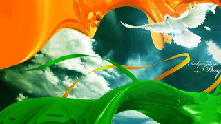 White bird flying green orange - a white bird free wallpaper