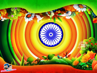 Colorful wheel of life flower - life free wallpaper