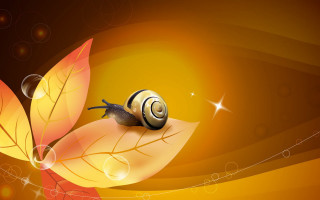 Snail leaf star swirly background - a snail free wallpaper