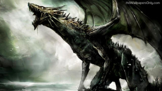 Dragon standing water wings spread 2 - its wing free wallpaper