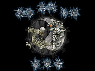 White tigers yin yang psychedelic - dai jin free wallpaper