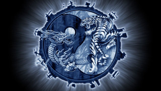 Blue white tigers circle black - symmetrical balance free wallpaper